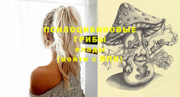 MDMA Горнозаводск