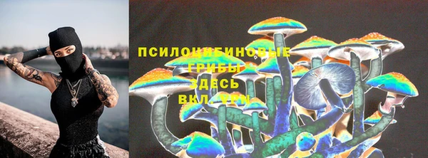 марки nbome Горняк