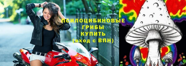 марки nbome Горняк