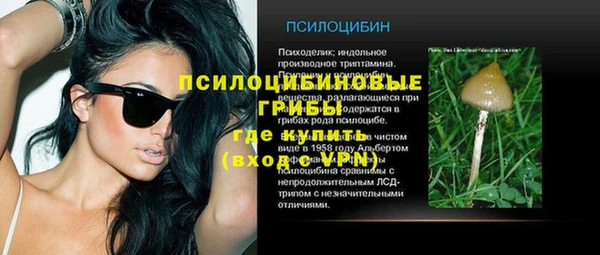 MDMA Горнозаводск