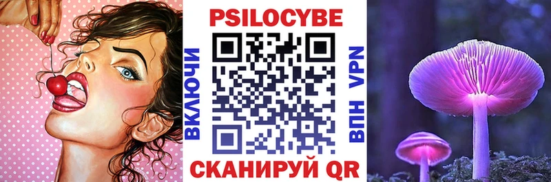 Псилоцибиновые грибы мухоморы  Купить закладки  Верхняя Пышма 
